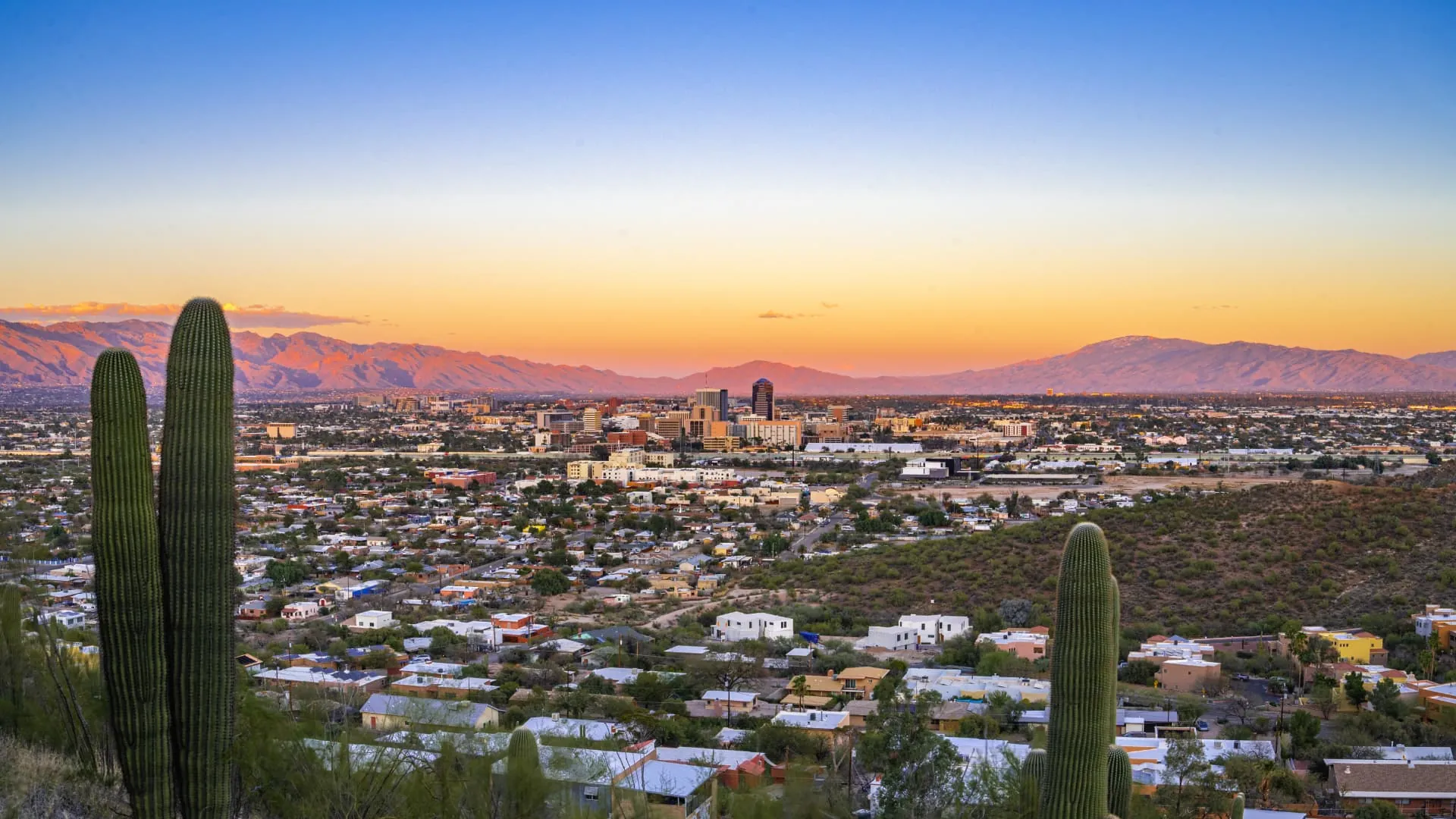 Tucson valley overlook with saguaro cactus and the downtown skyline, rope access, confined space rescue and safety services in Tucson, AZ