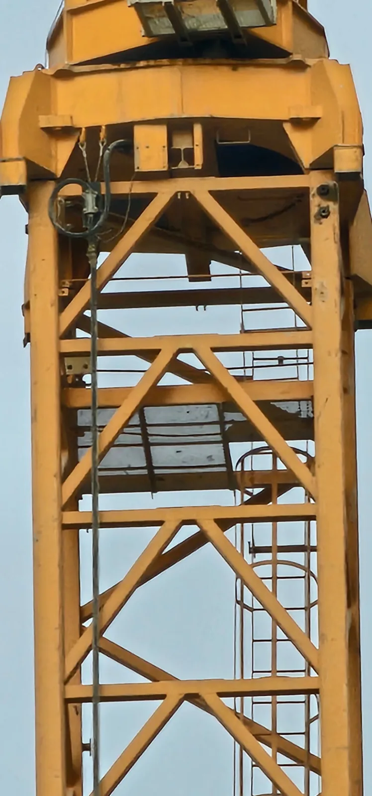 Tower crane mast section and access ladder inspected from the ground